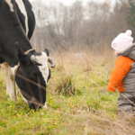 Ekomjölk bra alternativ till fisk